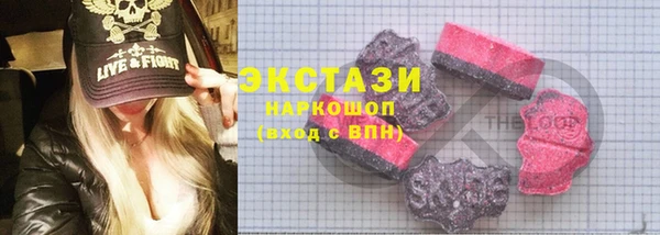 крисы Тайга
