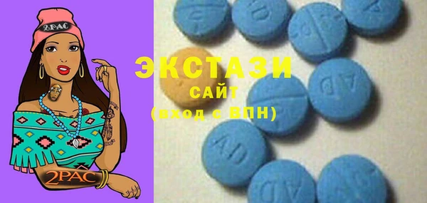 шишки Верея