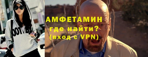 шишки Верея