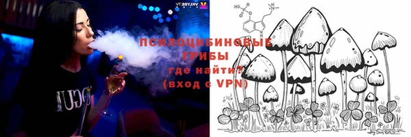 прущая мука Сясьстрой