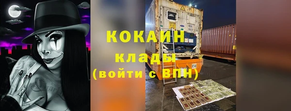 шишки Верея