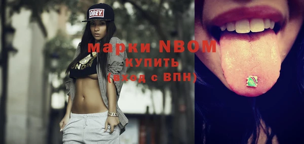 крисы Тайга