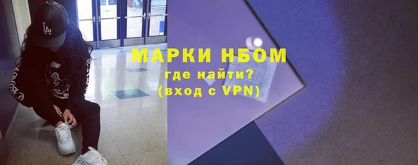 шишки Верея