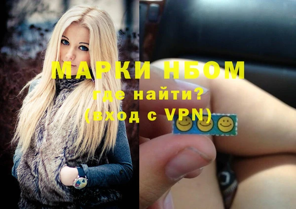 крисы Тайга