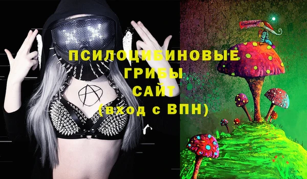 шишки Верея