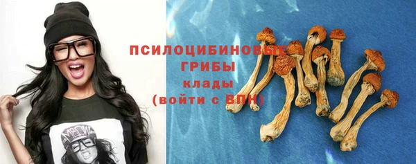 прущая мука Сясьстрой