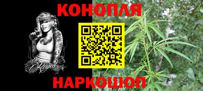 метадон Кингисепп