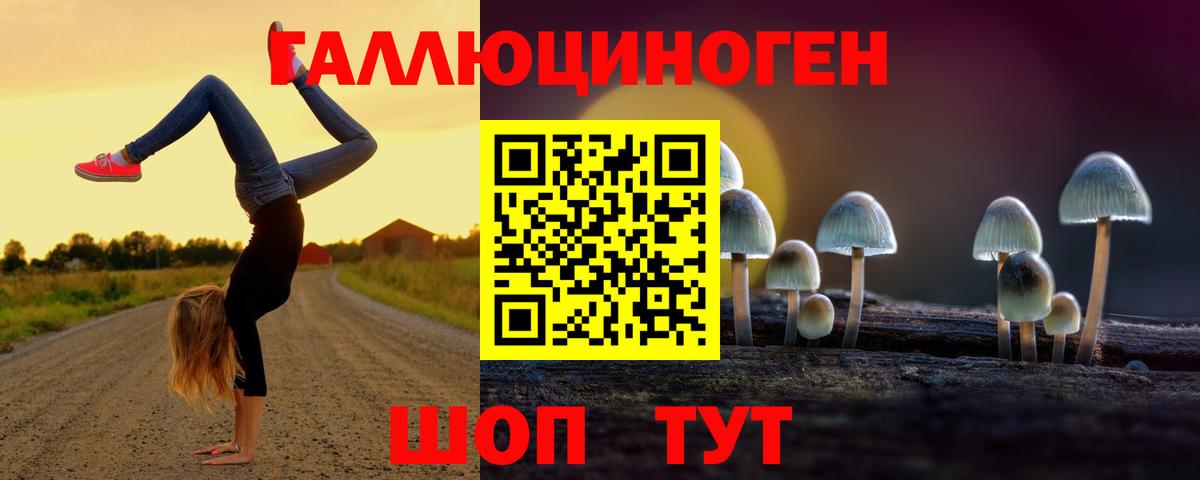 Галлюциногенные грибы Psilocybine cubensis  Вход с VPN  Мариинск  Псилоцибиновые грибы Psilocybine cubensis 